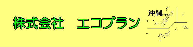 ������ЃG�R�v�����@�g���b�V���̔��X