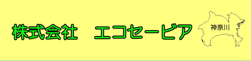 ������ЃG�R�Z�[�r�A�@�g���b�V���̔��X